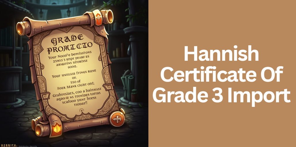 Hannish Certificate Of Grade 3 Import