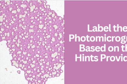 Label the Photomicrograph Based on the Hints Provided