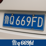 鲁q 669fd